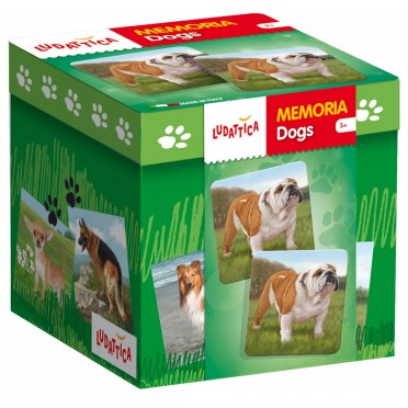 LUDATTICA-IGRA MEMORIJE PSI